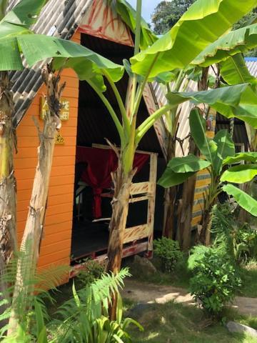 Beach Shack Chalet - Garden View Aframe Big Unit Kampong Juara Zewnętrze zdjęcie